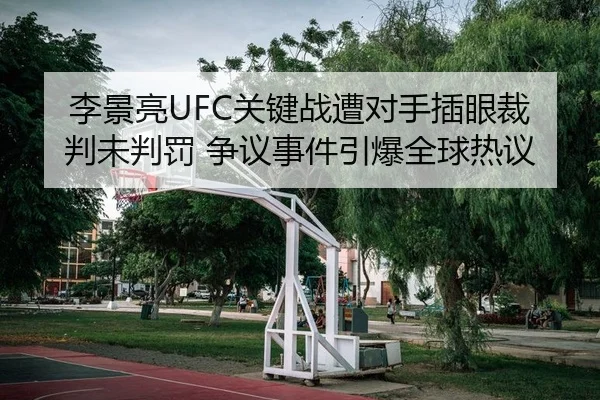 李景亮UFC关键战遭对手插眼裁判未判罚 争议事件引爆全球热议